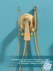 Встраиваемый смеситель с гигиеническим душем Raglo R07.52.03 (сатин золотой)