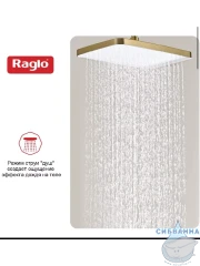 Верхний душ Raglo 340 R451.52.03 (сатин золотой)