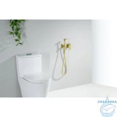 Смеситель с гигиеническим душем Aquatek Оберон AQ1220BG (золото шлифованное)