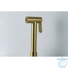 Смеситель с гигиеническим душем Aquatek Оберон AQ1024BG (золото шлифованное)