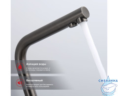 Смеситель для кухни Raglo R81.61.09 (графит)