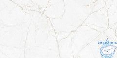 GT226VG Керамогранит Antares_GT Бел. 30x60  1\58,32