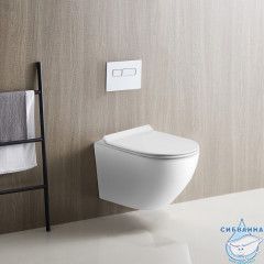 Унитаз подвесной безободковый Calypso CS46TK с сиденьем Soft Close (микролифт)