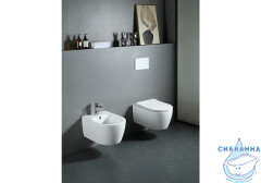 Унитаз подвесной безободковый Aquatek Европа AQ1106L-00 с сиденьем Soft Close (микролифт)