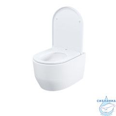 Унитаз подвесной безободковый, Эйгер Кью (Aiger Q), IDDIS, AIQRDSEi25