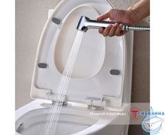 Встраиваемый смеситель Raglo R03.52 с гигиеническим душем (хром)