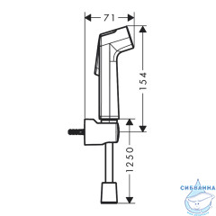 Гигиеническая лейка Hansgrohe 29234000 (хром)