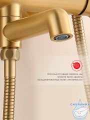 Душевая система Raglo 250 1 режим R20.24.03 (сатин золотой)