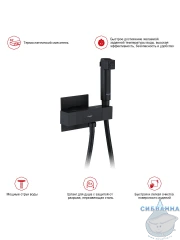 Смеситель Raglo R24.56.06 с гигиеническим душем (черный)