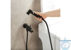 Встраиваемый смеситель с гигиеническим душем Aquatek Ника AQ1819MB (черный матовый )