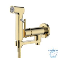 Встраиваемый смеситель с гигиеническим душем Aquatek Ника AQ1819BG (золото шлифованное)