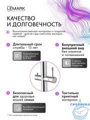 Смеситель для кухни Lemark Зенит LMF-1676S-SSN (нержавеющая сталь)