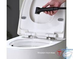 Смеситель Raglo R03.51.06  с гигиеническим душем (черный)