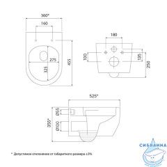 Унитаз подвесной безободковый, Эйгер Кью (Aiger Q), IDDIS, AIQRDSEi25