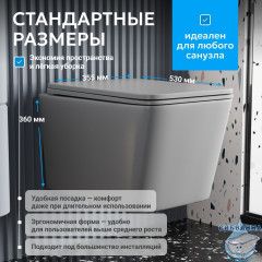 Унитаз подвесной Abber Rechteck AC1201MG с сиденьем Soft Close (микролифт) (серый)