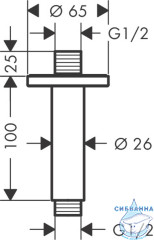  Держатель верхнего душа Hansgrohe Vernis 10 см 27804670 (черный)