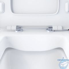 Унитаз напольный безободковый Damixa Titan с бачком и сиденьем Soft Close (микролифт) DX78C8600SC