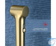 Смеситель Raglo R03.51.03 с гигиеническим душем (сатин золотой)