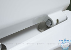 Унитаз напольный безободковый Aquanet Rimless Roll 210764 (с сиденьем Soft Close (микролифт) ) без бачка