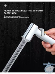 Гигиеническая лейка Frap 1 режим F022 (хром)