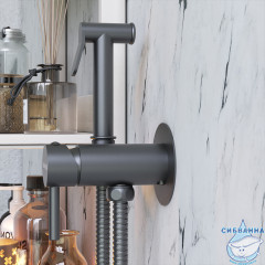 Встраиваемый смеситель с гигиеническим душем Damixa Option 217000000 (черный матовый)