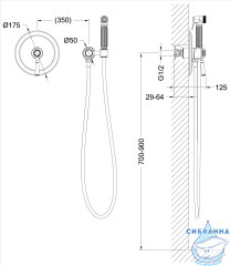 Встраиваемый смеситель с гигиеническим душем Timo Arisa 5309/00SM (хром)