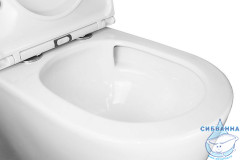 Унитаз напольный со смывом торнадо Azario Conto с бачком и сиденьем Soft Close (микролифт) AZ-T005BR