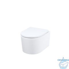 Унитаз подвесной безободковый Iddis Stone STORNSEi25 с сиденьем Soft Close (микролифт)