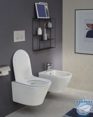 Унитаз подвесной безободковый Jacob Delafon Rodin+ (с сиденьем Soft Close (микролифт)