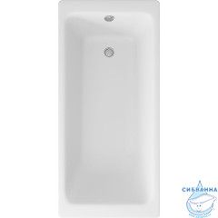 Чугунная ванна Delice Parallel 170х80 с ножками