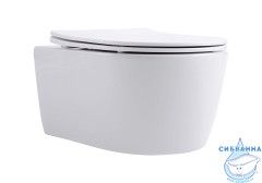 Унитаз подвесной безободковый Aquatek Европа AQ1106L-00 с сиденьем Soft Close (микролифт)