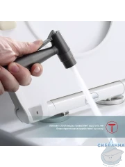 Встраиваемый смеситель Raglo R20.52.09 с гигиеническим душем (графит)