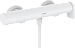  Смеситель для душа Hansgrohe Vivenis 75620700 (белый)