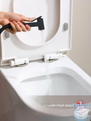 Встраиваемый смеситель с гигиеническим душем Raglo R51.52.06 (черный матовый)