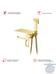 Встраиваемый смеситель с гигиеническим душем Raglo R51.55.03 (сатин золотой)