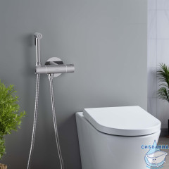 Смеситель с гигиеническим душем Aquatek Оберон AQ1027CR (хром)