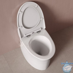 PULIDSEi26, Приставной унитаз с функцией импульсного смыва, Pulse, IDDIS