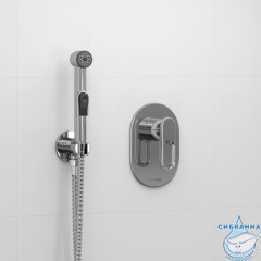 Встраиваемый смеситель с гигиеническим душем Wasserkraft A111856 (хром)