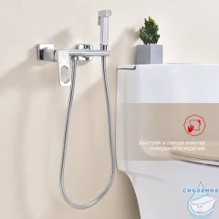 Смеситель с гигиеническим душем Raglo R51.51 (хром)