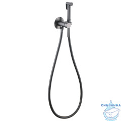 Встраиваемый смеситель с гигиеническим душем ABBER Wasser Kreis AF8125NG (никель)