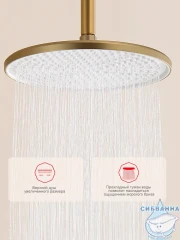 Душевая система Raglo 250 1 режим R20.24.03 (сатин золотой)