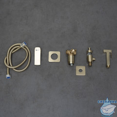 Встраиваемый смеситель с гигиеническим душем Lemark Ursus LM7219BG (брашированное золото)