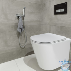 Встраиваемый смеситель с гигиеническим душем Iddis Axes AXESBR0i08 (хром)