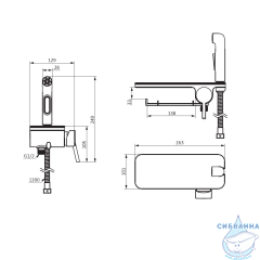 Смеситель с гигиеническим душем Damixa Jupiter 773500001 (хром)