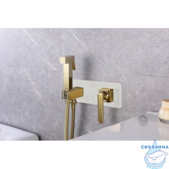 Встраиваемый смеситель с гигиеническим душем Lemark Mista LM6419WG (белый/золото)