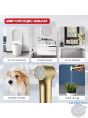 Гигиеническая душ Raglo R460.05.03 (сатин золотой)