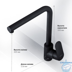 Смеситель для кухни AM.PM Like F8005022 (черный матовый)