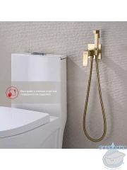 Встраиваемый смеситель Raglo R01.52.03 с гигиеническим душем (сатин золотой)
