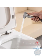 Встраиваемый смеситель с гигиеническим душем Raglo R51.51.09 (графит)