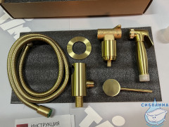 Встраиваемый смеситель с гигиеническим душем Timo Saona 2389/17SM (золото матовое)